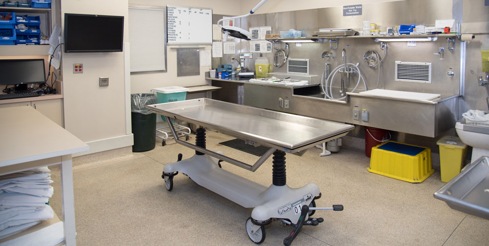 Autopsy case room for forensic and hospital autopsies