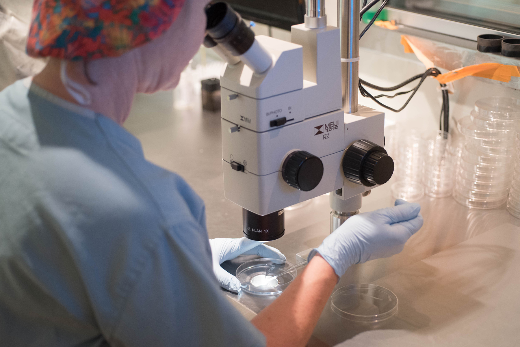 Fertility Clinic - Getting Started