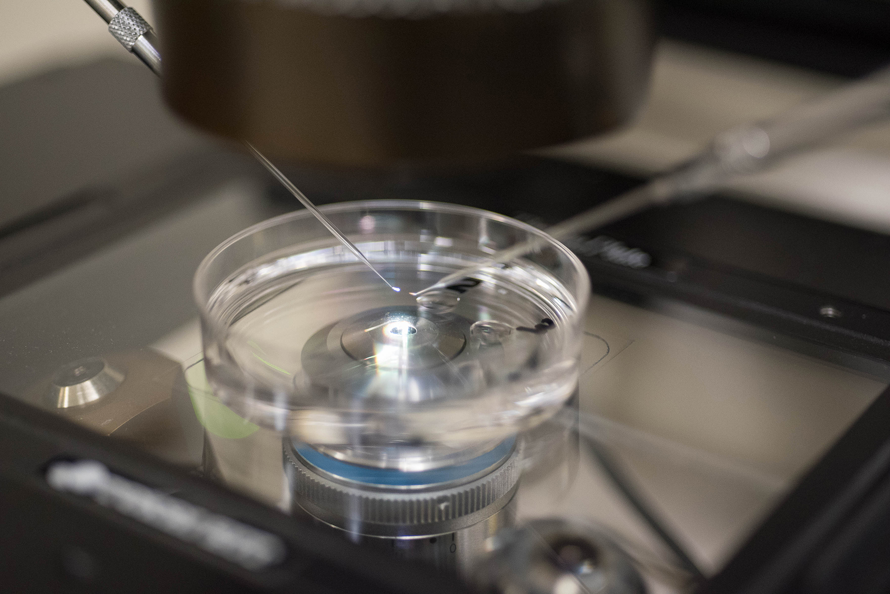 Fertility Clinic - Our Services