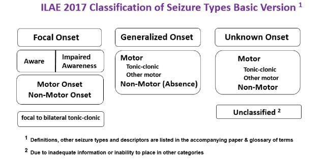 Classification of Seizure Types