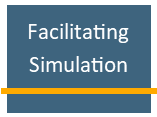 Facilitating Simulation