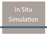 In Situ Simulation