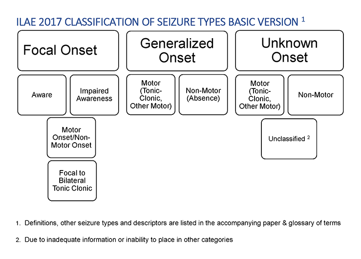 Classification of Seizures