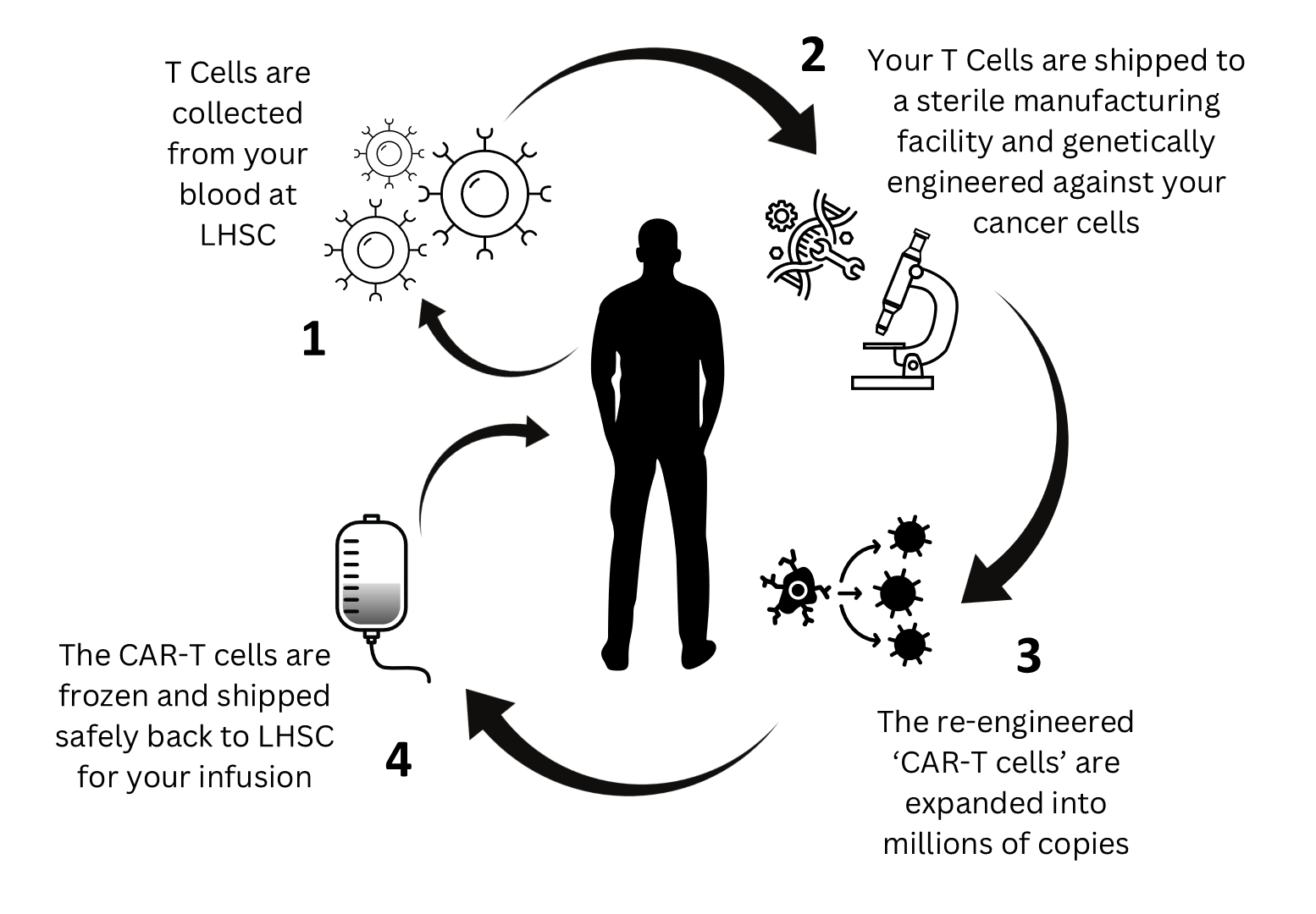 Diagram illustrating the four major steps of CAR‑T cell therapy, from collecting T cells to engineering, expanding, and returning them for infusion.