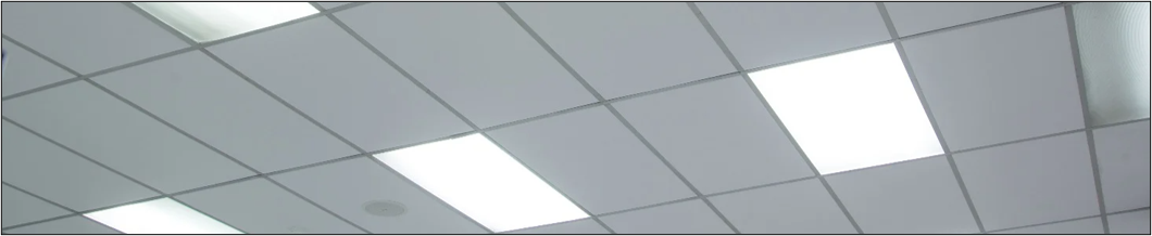 Typical office drop ceiling and 4 foot lighting fixtures