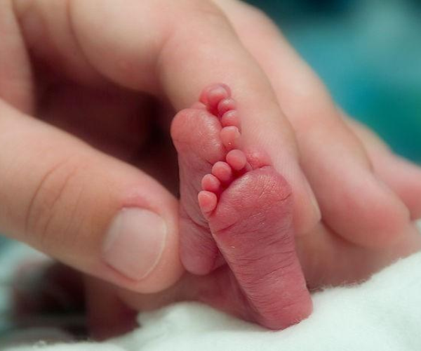 Individual holding the feet of a premature infant in the NICU