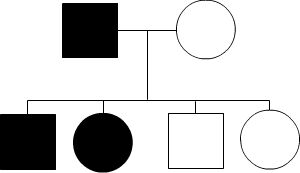 One affected dark square parent and one unaffected white circle parent have four children. They create a black and white square and a black and white circle.