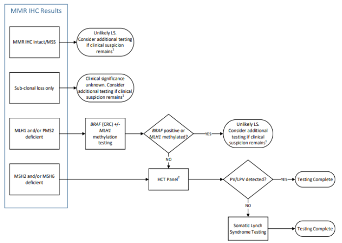 Lynch testing flowchart