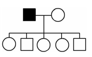 A black square parent and a white circle parent have five children, three circles, and two squares. All of the children are white