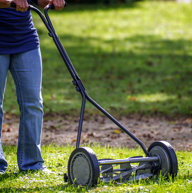 Man pushing manual lawnmower