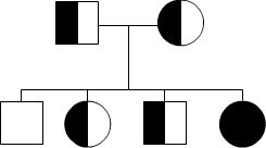 Two parents, both black and white, create four children. Two children, a square and circle, are both black and white. There is also a black circle child and a white square child