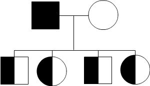 A black square parent and a white circle parent create four black and white children. Two children are circles, two are squares