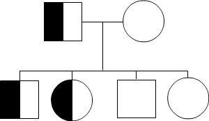 A white and black square and a white circle parent have four children. One square and circle are black and white, the other square and circle children are white
