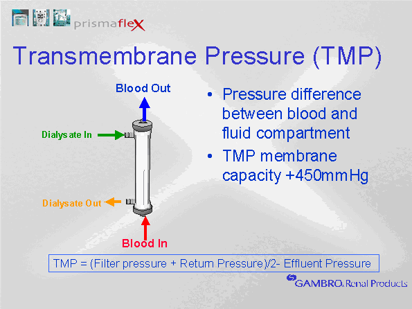 2. Understanding Transmembrane Pressure (TMP)