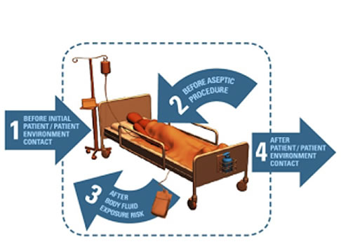 Four Moments of Hand Hygiene