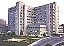 University Hospital