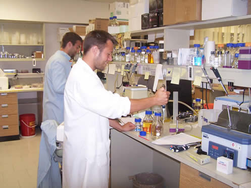 Lab Technicians at work