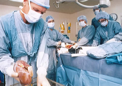 liver surgery in progress
