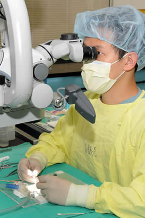 Research in the microsurgery lab