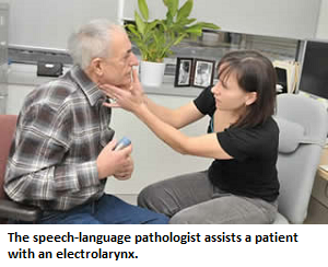 Head and Neck Cancer