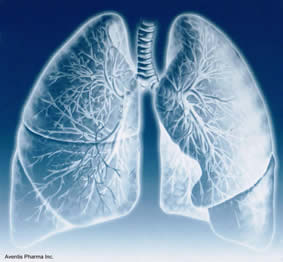 Lung Image