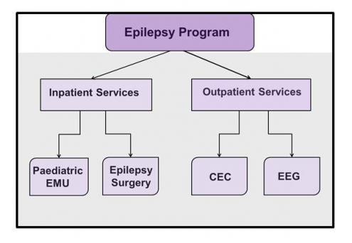 Our Program - Epilipsey
