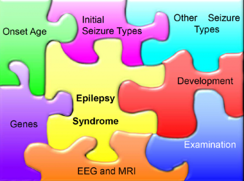 Epilepsy7