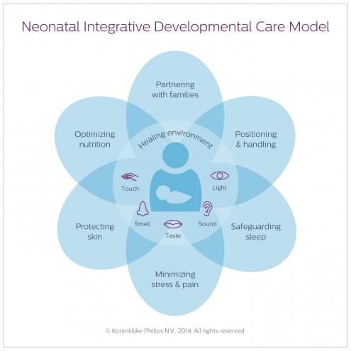 Neonatal Integrative Developmental Care Model