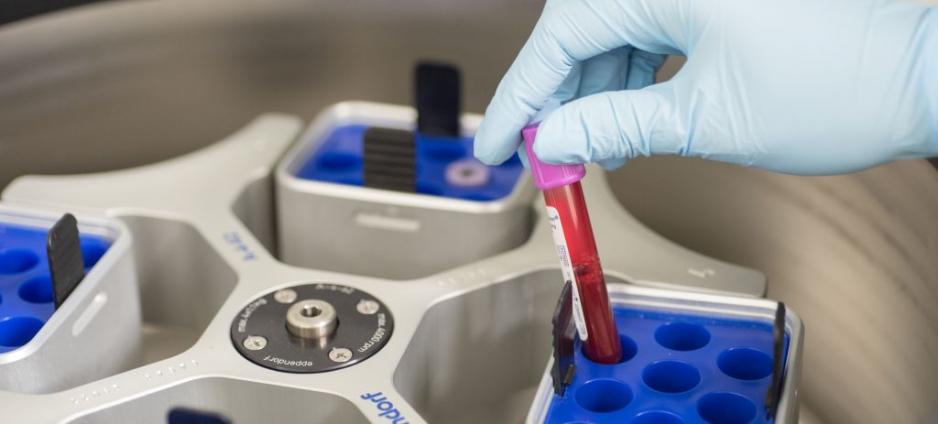 Image of a machine used in the Genotyping process