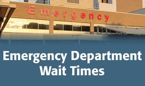 Emergency Department Wait Times