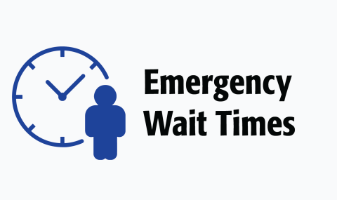 Emergency Wait Times