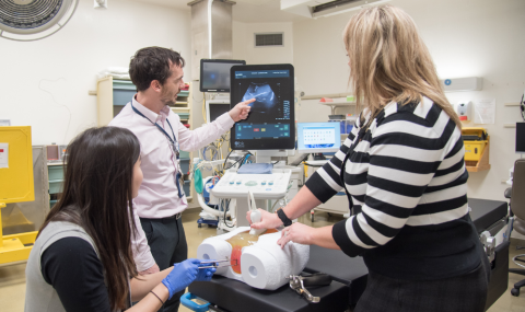 Three people in a medical room practice using an ultrasound machine with a gynecological simulator. One person points at the screen while another operates the device.