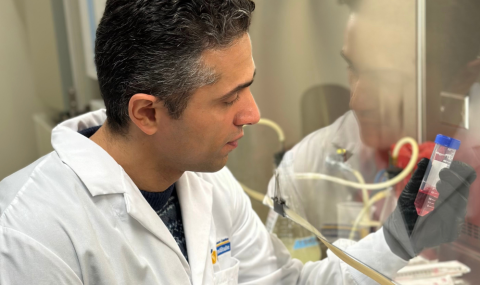 Dr. Maleki observes changes in cancer cells and immune cells.
