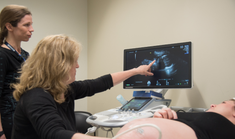 Dr. Barbra de Vrijer researcher at London Health Sciences Centre Research Institute (LHSCRI) conducting a fetal ultrasound along with Dr. Genevieve Eastabrook. 