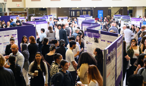 Hundreds of students at scientific poster presentations.