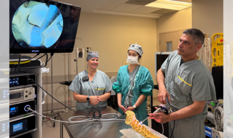 The endoscopic procedure is demonstrated using a model spine