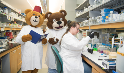 A researcher working in the laboratory at Children’s Hospital at LHSC alongside Dr. Beary Good and Fezzi.