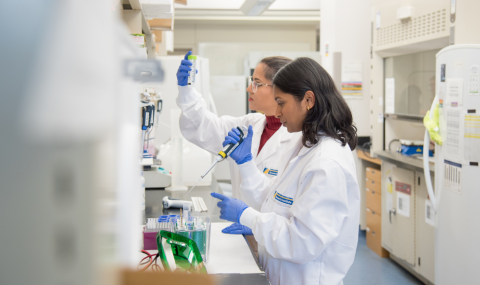 Research team members in an LHSCRI laboratory.
