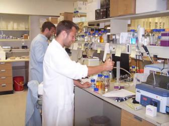 Lab Technicians at work