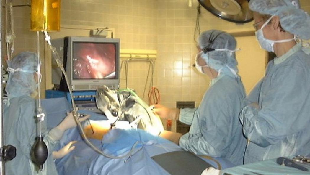 Surgery Slide