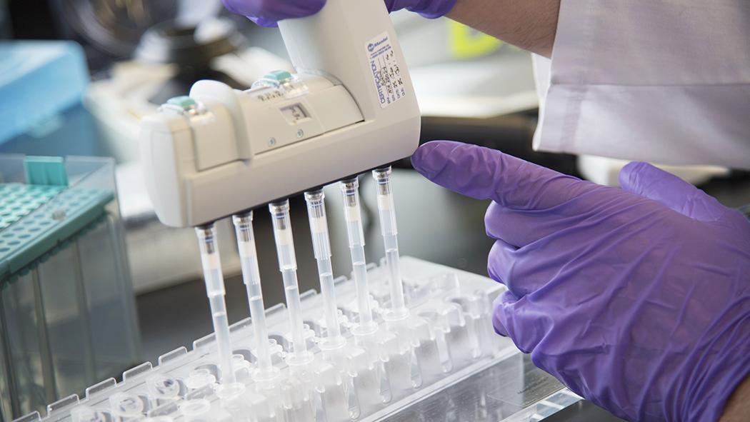 Close-up of hands working in a medical laboratory