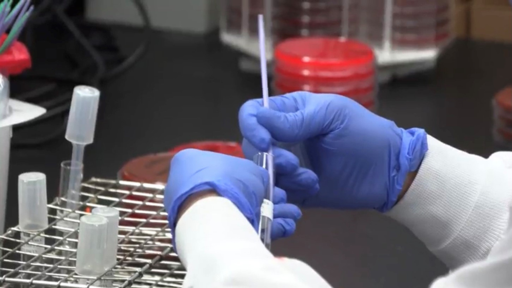 Image of researcher in a lab