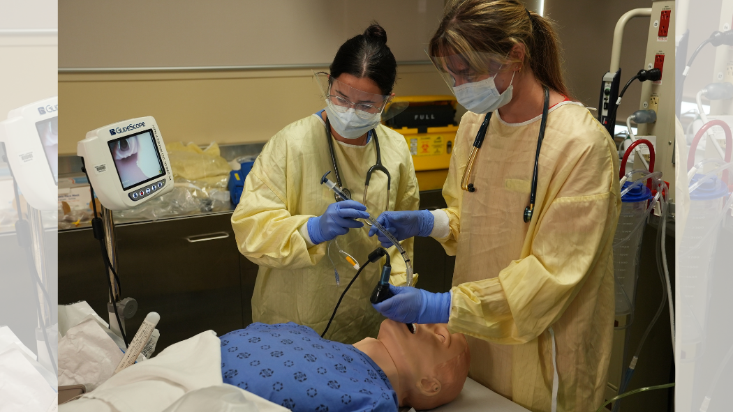Intubation simulation