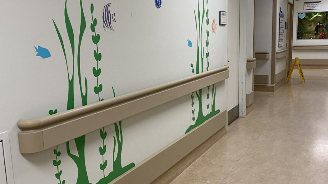 Hallway to the Surgical Registration area
