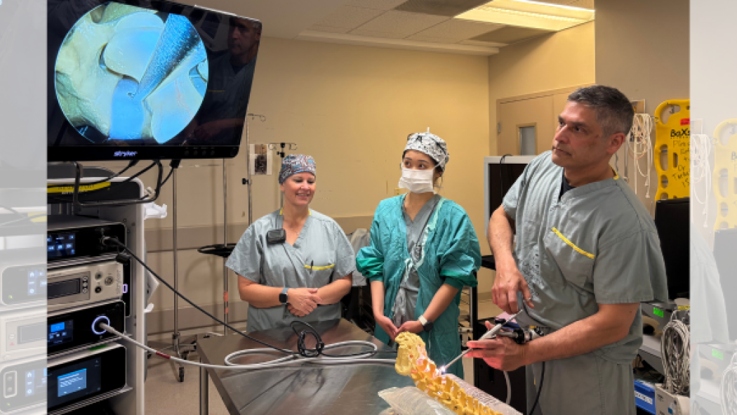 The endoscopic procedure is demonstrated using a model spine